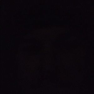 Meet your Posher, Troy